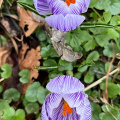 25-03-24 14-15-30 2648